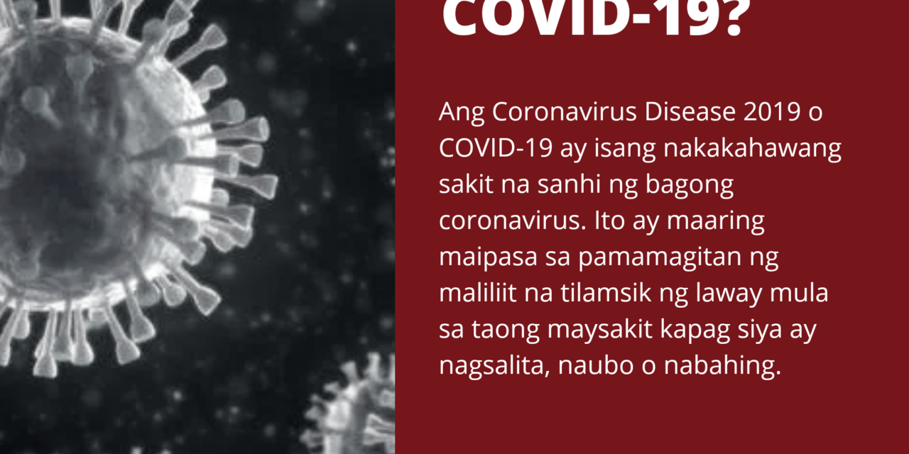 COVID – 19 Primer
